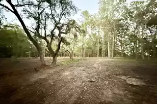 191 Melrose Pl, Moncks Corner, SC 29461 - Photo 1