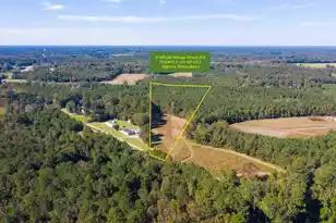 0 White House Pond Rd, Harleyville, SC 29448 - Photo 1