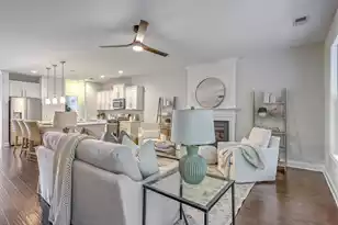 421 Turnstone St, Mount Pleasant, SC 29464 - Photo 1