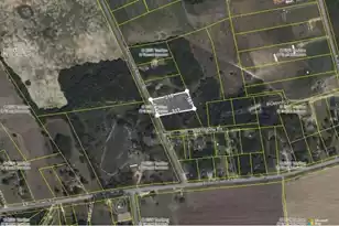 0 Springvale Rd, Bishopville, SC 29010 - Photo 1