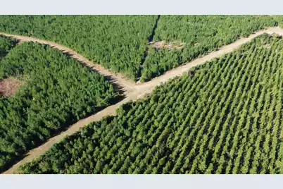 24 Highway 311, Cross, SC 29436 - Photo 1