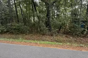 0 Benedict Ave, North Charleston, SC 29418 - Photo 1