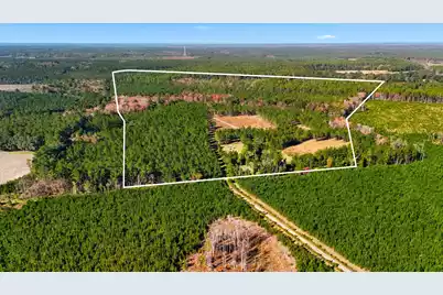 815 Rentz Drive, Walterboro, SC 29488 - Photo 1