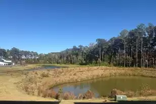 418 Great Egret, Summerville, SC 29486 - Photo 1