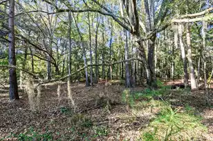 2515 Joseph Pearline Rd, Johns Island, SC 29455 - Photo 1