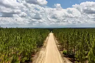 0 Beaver Dam Rd, Cassatt, SC 29032 - Photo 1