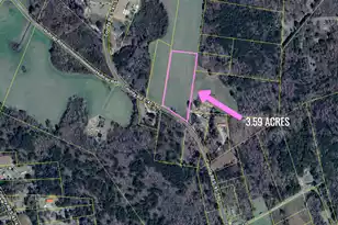 0 Pinckney Rd, Kingstree, SC 29556 - Photo 1