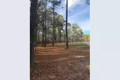 00 Myers Mayo Road #Lot 2, Ridgeville, SC 29472 - Photo 1