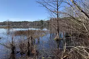 944 Hunt Dr, Huger, SC 29450 - Photo 1