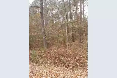 Lot 206 Prices Bridge Lane, Walterboro, SC 29488 - Photo 1