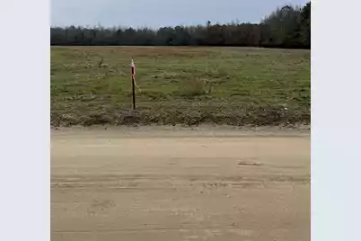 00 Ryn Street, Cope, SC 29038 - Photo 1