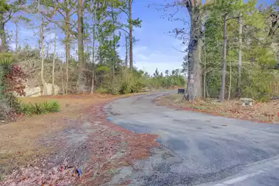 00 Hill Branch Road, Ridgeville, SC 29472 - Photo 1