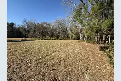 0 Cameron Drive, Ridgeville, SC 29472 - Photo 1
