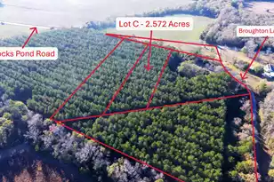 00 Broughton (Lot C) Ln, Eutawville, SC 29048 - Photo 1