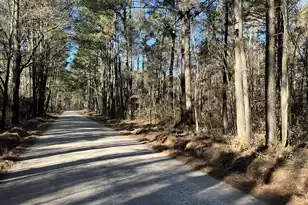 0 Brittlebank Rd, Walterboro, SC 29488 - Photo 1