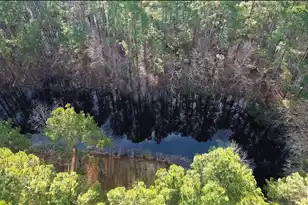 760 Coral Acres Dr, Moncks Corner, SC 29461 - Photo 40