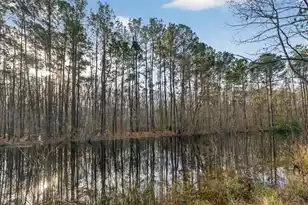 760 Coral Acres Dr, Moncks Corner, SC 29461 - Photo 38