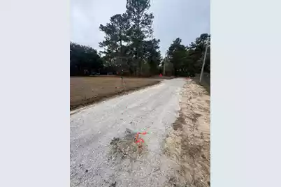 0 Sidneys Road, Round O, SC 29474 - Photo 1