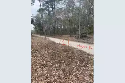 0 Hughes Drive, Round O, SC 29474 - Photo 1