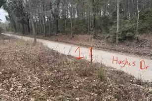 0 Hughes Dr, Round O, SC 29474 - Photo 1