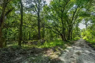 0 Geneva Shaw Ln, Wadmalaw Island, SC 29487 - Photo 1