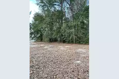 0 Crnr Tyler Rd + Bruce Street, Orangeburg, SC 29115 - Photo 1