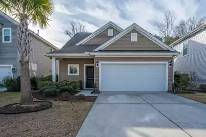 3825 Tupelo Branch Row, Mount Pleasant, SC 29429 - Photo 1