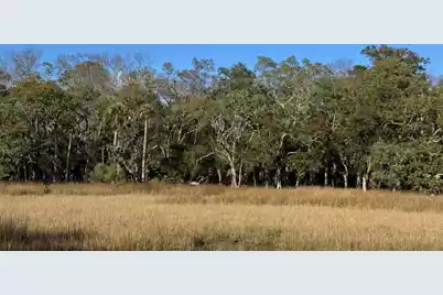 8785 Palmetto Road, Edisto Island, SC 29438 - Photo 1