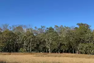 8785 Palmetto Rd, Edisto Island, SC 29438 - Photo 1