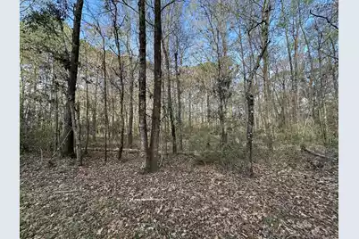 0 Cooke Road #Lot 3, Johns Island, SC 29455 - Photo 1