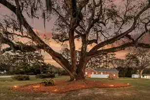 4454 Cottageville Hwy, Round O, SC 29474 - Photo 1
