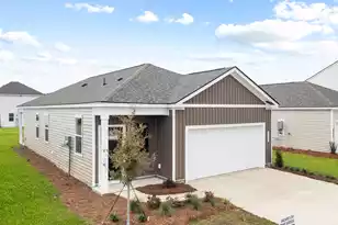 717 Butterfly Ginger St, Moncks Corner, SC 29461 - Photo 1