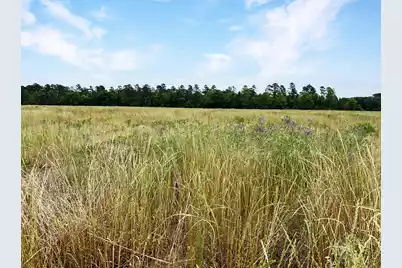 1 Us-15, Saint George, SC 29477 - Photo 1