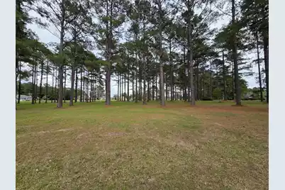 402 Pinelake Court, Manning, SC 29102 - Photo 1