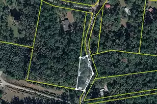 0 Poling Ln, Round O, SC 29474 - Photo 1