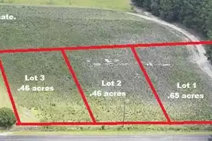 3 Joseph Lemon and Dingle Rd, Manning, SC 29102 - Photo 1