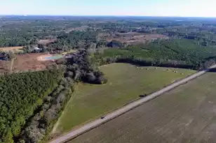 0 Rocks Pond Road #Lot N, Eutawville, SC 29048 - Photo 1