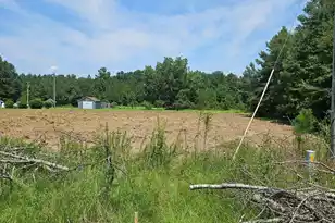 0 Wolfman Ln, Saint Stephen, SC 29479 - Photo 1