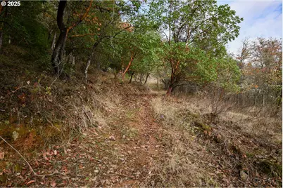 214 Thompson Rd, Riddle, OR 97469 - Photo 34