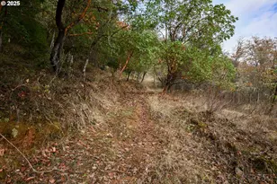 214 Thompson Rd, Riddle, OR 97469 - Photo 34