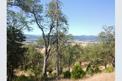 345 Zeigler Ct, Roseburg, OR 97471 - Photo 20