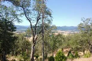 345 Zeigler Ct, Roseburg, OR 97471 - Photo 20