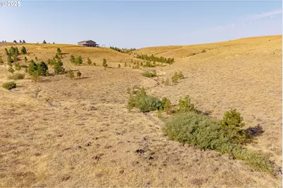 110 Morris Rd, Lyle, WA 98635 - Photo 44