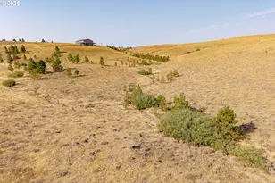 110 Morris Rd, Lyle, WA 98635 - Photo 44