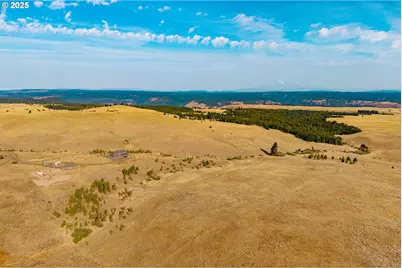 110 Morris Rd, Lyle, WA 98635 - Photo 40