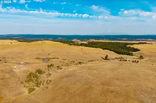 110 Morris Rd, Lyle, WA 98635 - Photo 40