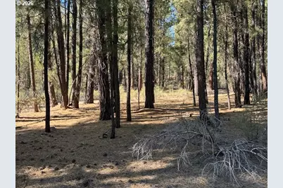 Green Forest Dr #Lot 3, Chiloquin, OR 97624 - Photo 2