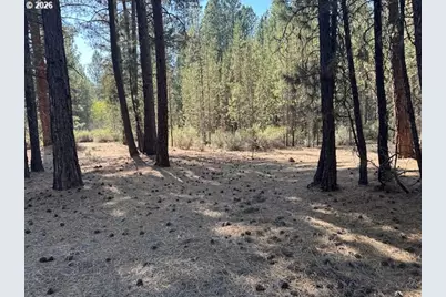 Green Forest Dr #Lot 3, Chiloquin, OR 97624 - Photo 22