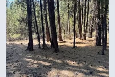 Green Forest Dr #Lot 3, Chiloquin, OR 97624 - Photo 26