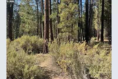Green Forest Dr #Lot 3, Chiloquin, OR 97624 - Photo 16